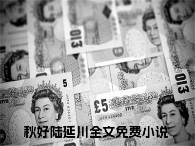 七零硬汉太会宠，小娇娇受不了了小说免费阅读无弹窗《秋好陆延川》_秋好陆延川全文阅读七零硬汉太会宠，小娇娇受不了了