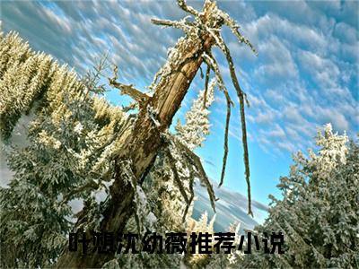 小说（叶想沈幼薇）免费阅读-小说（天师下山）叶想沈幼薇全文在线赏析最新章节列表_笔趣阁