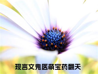秦御凌叶筱筱（鬼医萌宝药翻天）全文免费阅读无弹窗大结局_秦御凌叶筱筱完整版在线阅读章节列表_笔趣阁