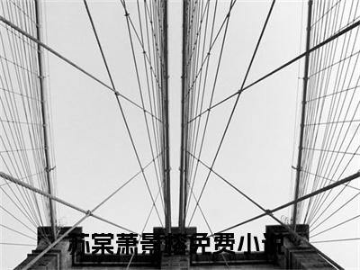 苏棠萧景榕（穿越：嫔妃她集宠爱于一身）免费小说全文完整版-穿越：嫔妃她集宠爱于一身最新章节完整版阅读