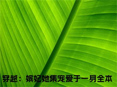 苏棠萧景榕（穿越：嫔妃她集宠爱于一身）最新免费阅读-苏棠萧景榕小说在线阅读