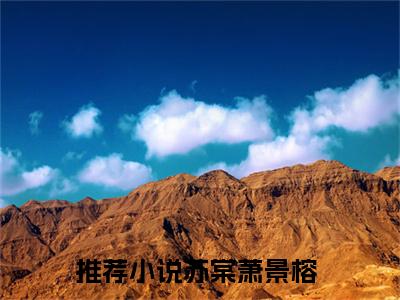 穿越：嫔妃她集宠爱于一身（苏棠萧景榕）抖音热推小说全集无删减，苏棠萧景榕小说在线免费阅读大结局