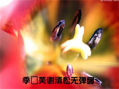季祎芙谢清松小说好看吗 季祎芙谢清松热门推荐小说（季祎芙谢清松）全章节阅读_笔趣阁