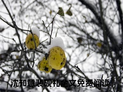 沈知意裴砚礼精选热门小说-沈知意裴砚礼免费全文阅读