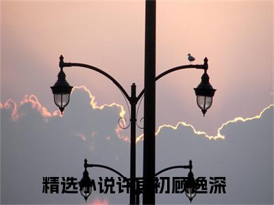 完整版小说（许宜初顾逸深）最新在线阅读-许宜初顾逸深小说（许宜初顾逸深）免费阅读全文