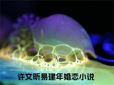 许文昕易建年老书虫推荐小说 许文昕易建年热门小说最新章节阅读