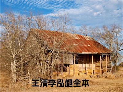 王清李泓昶（王清李泓昶）全文免费阅读无弹窗大结局_（王清李泓昶）最新章节列表笔趣阁