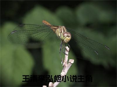 王清李泓昶（王清李泓昶）小说全文-王清李泓昶无弹窗免费阅读