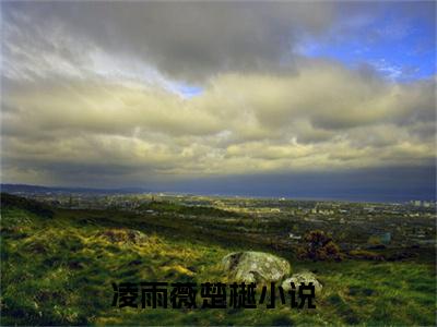 凌雨薇楚樾小说免费在线阅读无弹窗-主角是凌雨薇楚樾的小说