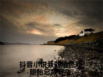 我的绝色双胞胎总裁齐飞（我的绝色双胞胎总裁齐飞）全文免费阅读无弹窗大结局_我的绝色双胞胎总裁齐飞在线阅读（我的绝色双胞胎总裁齐飞）最新章节列表笔趣阁（我的绝色双胞胎总裁齐飞）