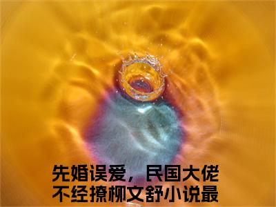 先婚误爱，民国大佬不经撩柳文舒免费阅读全文免费阅读无弹窗大结局_ (先婚误爱，民国大佬不经撩柳文舒小说免费阅读)先婚误爱，民国大佬不经撩柳文舒最新章节阅读