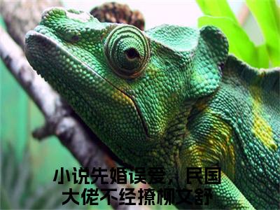 先婚误爱，民国大佬不经撩柳文舒（先婚误爱，民国大佬不经撩柳文舒）全文免费阅读无弹窗大结局_先婚误爱，民国大佬不经撩柳文舒最新章节列表_笔趣阁（先婚误爱，民国大佬不经撩柳文舒）