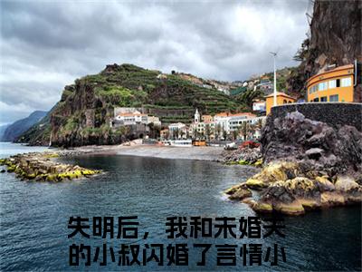 宋时微陆渊小说热门榜单免费阅读，失明后，我和未婚夫的小叔闪婚了抖音新上热文分享_笔趣阁（宋时微陆渊）