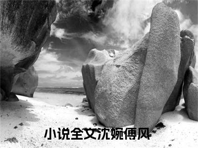 沈婉傅风小说（沈婉傅风）全文免费阅读无弹窗大结局_(沈婉傅风小说免费阅读)沈婉傅风小说最新章节列表_笔趣阁