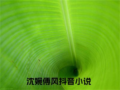 沈婉傅风(沈婉傅风)小说全文免费阅读无弹窗大结局_（沈婉傅风）沈婉傅风最新章节列表笔趣阁（沈婉傅风）