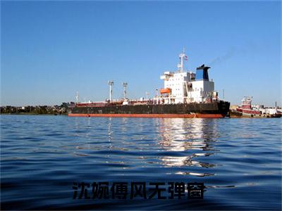 沈婉傅风热门榜单小说 沈婉傅风完本小说无弹窗免费阅读