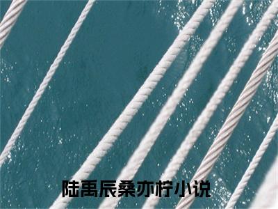 陆禹辰桑亦柠全文免费阅读-陆禹辰桑亦柠最新章节小说阅读