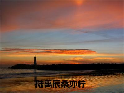 陆禹辰桑亦柠小说完整版阅读-（陆禹辰桑亦柠）小说全文免费阅读