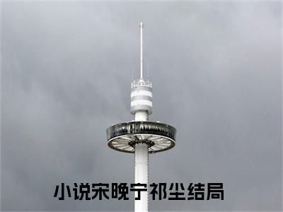 宋晚宁祁尘完整版最新小说大结局-宋晚宁祁尘无删版阅读