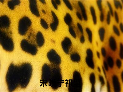 宋晚宁祁尘小说热门榜单免费阅读，宋晚宁祁尘抖音新上热文分享_笔趣阁