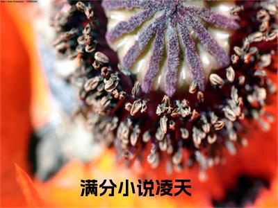 凌天（美女别拜了，我真的不是大能啊）全文免费阅读无弹窗大结局_凌天免费阅读无弹窗最新章节列表