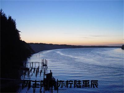 桑亦柠陆禹辰（桑亦柠陆禹辰无弹窗）全文免费阅读无弹窗大结局_（桑亦柠陆禹辰全文免费阅读无弹窗）桑亦柠陆禹辰无弹窗最新章节列表_笔趣阁