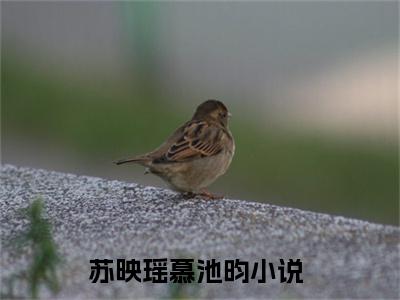 苏映瑶慕池昀（苏映瑶慕池昀）小说-苏映瑶慕池昀小说免费最新章节列表