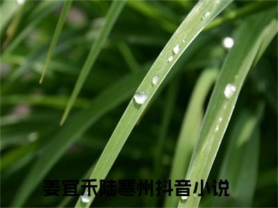 （姜宜禾陆寒州小说免费阅读）全文免费阅读无弹窗大结局_姜宜禾陆寒州小说免费阅读最新章节列表_笔趣阁（姜宜禾陆寒州阅读无弹窗）