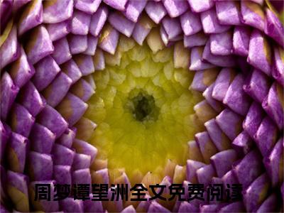 （周梦谭望洲）全文免费阅读无弹窗大结局_（周梦谭望洲阅读无弹窗）周梦谭望洲最新章节列表_笔趣阁（周梦谭望洲）