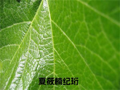 夏筱楠纪珩（夏筱楠纪珩小说）全文免费阅读无弹窗大结局_（夏筱楠纪珩）夏筱楠纪珩最新章节列表笔趣阁（夏筱楠纪珩）