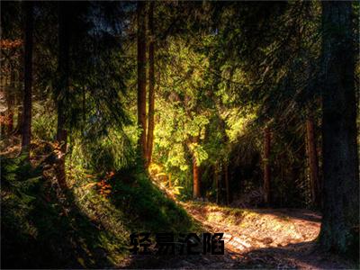 余岁晚林谨舟（轻易沦陷）全文免费阅读无弹窗-轻易沦陷小说完整版在线阅读
