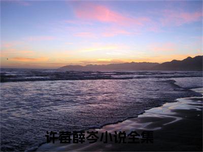 高赞小说许莓薛岑（许莓薛岑小说免费阅读）完结阅读_许莓薛岑小说免费阅读免费看全文
