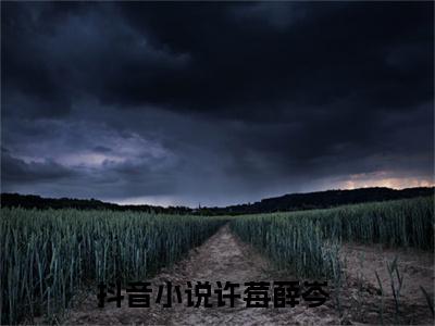 许莓薛岑抖音热推新书小说全文阅读 （许莓薛岑）全文免费阅读大结局
