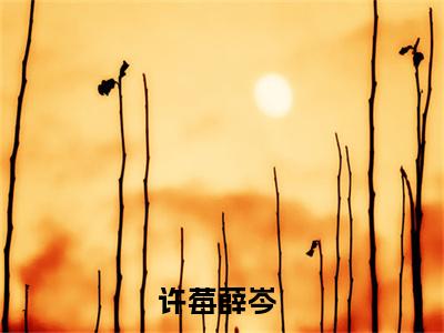 许莓薛岑小说（许莓薛岑）全文免费阅读无弹窗大结局_（许莓薛岑免费阅读）许莓薛岑最新章节列表_笔趣阁（许莓薛岑）