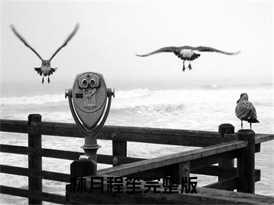 林月程笙（缘起缘灭，早已注定）小说全文大结局-（缘起缘灭，早已注定）全章节完整版在线阅读