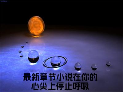 主角为在你的心尖上停止呼吸的小说精彩阅读-苏韶沈其西最新章节阅读