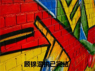顾锦温执新上热文小说（顾锦温执）讲的是什么-顾锦温执全文完整版免费阅读