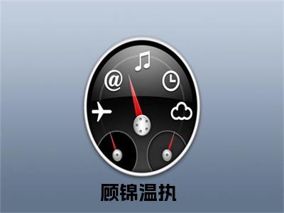 顾锦温执的书名全文免费最后一章在线阅读 顾锦温执全文小说完整版
