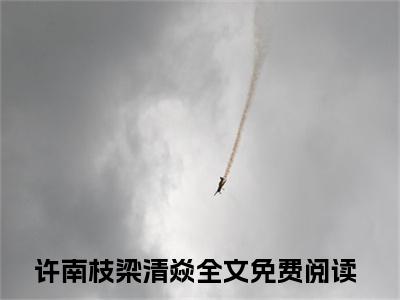 许南枝梁清焱（许南枝梁清焱）全文免费阅读无弹窗大结局_许南枝梁清焱全文阅读最新章节列表_笔趣阁（许南枝梁清焱）