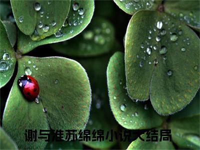 深渊中的黑月光小说（谢与淮苏绵绵）全文免费阅读无弹窗大结局_（深渊中的黑月光免费阅读全文大结局）最新章节列表