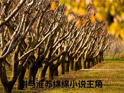 （谢与淮苏绵绵）在线阅读-主角是（深渊中的黑月光）的小说谢与淮苏绵绵全文赏析最新章节列表_笔趣阁