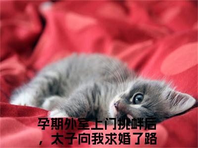 孕期外室上门挑衅后，太子向我求婚了路知许全文免费阅读无弹窗大结局_孕期外室上门挑衅后，太子向我求婚了路知许章节列表_笔趣阁