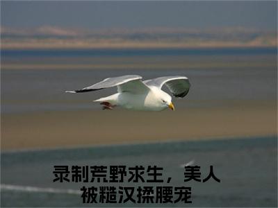 郑天铭徐梦语免费小说录制荒野求生，美人被糙汉揉腰宠全文完整版阅读
