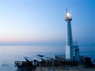主角是宋渺雾段懿辞的小说叫什么名字 宋渺雾段懿辞小说免费阅读