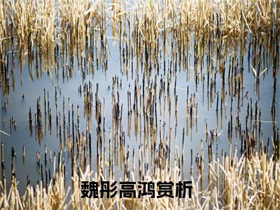 魏彤高鸿小说（魏彤高鸿）小说全文无删减版在线阅读_魏彤高鸿小说最新章节列表_笔趣阁