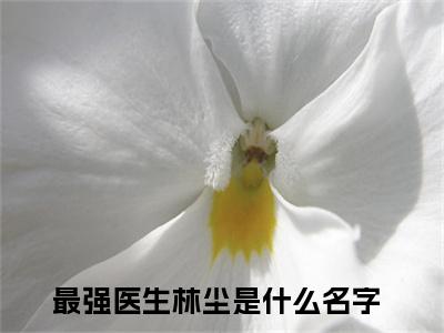 最强医生林尘（最强医生林尘)全文免费阅读无弹窗大结局_最强医生林尘全文免费阅读_笔趣阁（最强医生林尘）