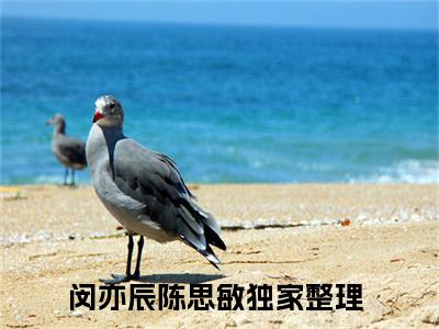 闵亦辰陈思敏小说（闵亦辰陈思敏）全文免费阅读无弹窗大结局_（闵亦辰陈思敏小说全文免费阅读无弹窗）闵亦辰陈思敏最新章节列表_笔趣阁（闵亦辰陈思敏小说）