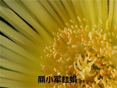 商小军杜娟（商小军杜娟）全文免费阅读无弹窗大结局-（商小军杜娟免费阅读全文大结局）最新章节