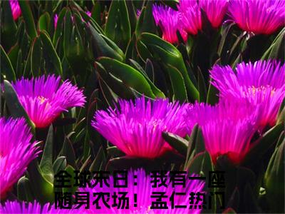 全球末日：我有一座随身农场！孟仁小说免费(全球末日：我有一座随身农场！孟仁)全文免费阅读无弹窗-全球末日：我有一座随身农场！孟仁小说全文免费阅读最新章节列表_笔趣阁