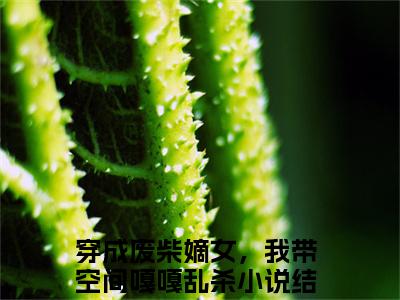 赵怀瑾宋青婉（穿成废柴嫡女，我带空间嘎嘎乱杀）全文免费阅读无弹窗大结局_穿成废柴嫡女，我带空间嘎嘎乱杀小说最新章节列表_笔趣阁（赵怀瑾宋青婉）